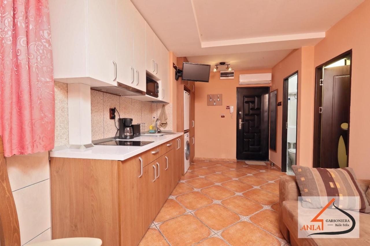 Garsoniera Ania Baile Felix公寓 外观 照片